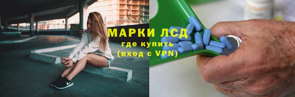 хмурый Алексин